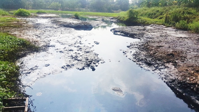 Sớm[-]"giải[-]cứu"[-]&ocirc;[-]nhiễm[-]s&ocirc;ng[-]Cầu[-]B&acirc;y[-]